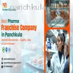 Nexbon Lifesciences Best Pharma Franchise Company in Panchkula