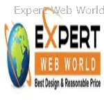 SEO Company in Panchkula