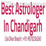 Astrologer Chandigarh
