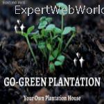 Go Green Plantation