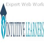 Intuitive learners