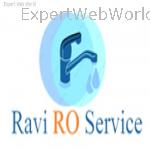 Ravi RO Services